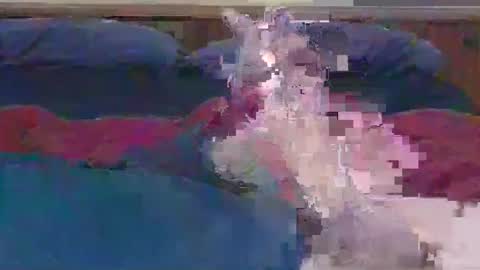 Snapshot of ihavebigballs00 chatting on December 2024 03:06:01 AM ihavebigballs00 online show from December 2024 03:06:01 AM