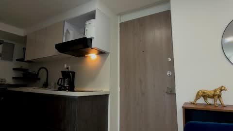 Snapshot of iisra chatting on February 2026 08:35:01 PM iisra online show from February 2026 08:35:01 PM