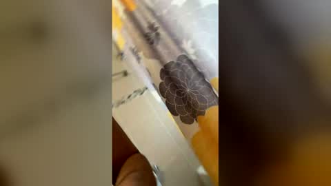 ikaikagora00 online show from March 2026 04:36:01 PM