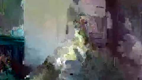 ikwiljeneuken123 online show from February 2026 04:09:01 AM