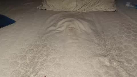 ilona4u online show from March 2026 09:08:01 PM