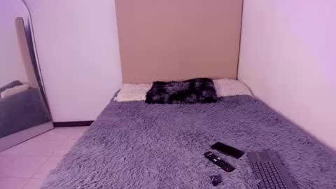 Perseo - Help me with 50 thumbs up online show from February 2026 07:46:01 PM