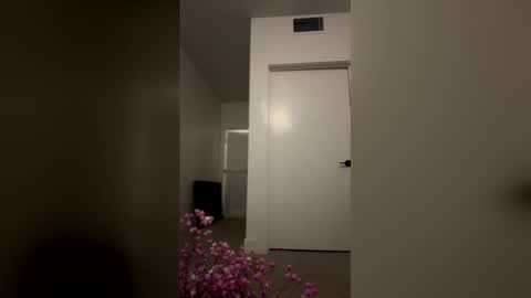 imlightskn online show from April 2026 06:13:05 AM