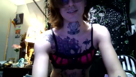 Snapshot of immascreamer chatting on February 2026 02:56:01 AM SlyKitten online show from February 2026 02:56:01 AM