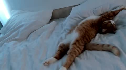 my name Imo  Fansly  online show from February 2025 09:00:02 AM