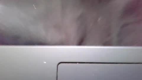 imstillstrokin online show from October 2025 07:35:02 PM