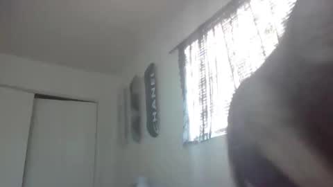 imyourbabydoll online show from February 2026 09:47:02 PM