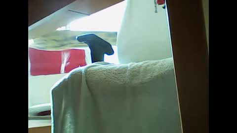 Snapshot of incontactwithmike chatting on November 2025 11:19:01 AM incontactwithmike online show from November 2025 11:19:01 AM