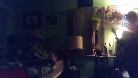 indigo_scorpio online show from February 2025 07:54:02 AM