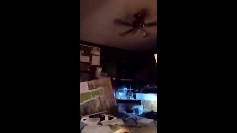 inmecum online show from March 2026 12:59:01 AM