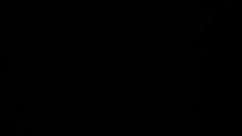 insanelysweet online show from January 2025 08:32:02 PM