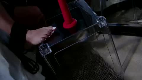 InsatiableCpl333 online show from January 2025 09:11:02 PM