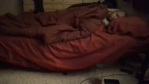 SexEngine88 online show from February 2026 12:42:01 AM