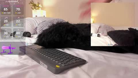 oIssaJonneso online show from February 2025 04:44:01 PM