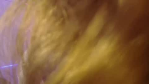 Isabella Rros online show from November 2025 01:56:02 PM