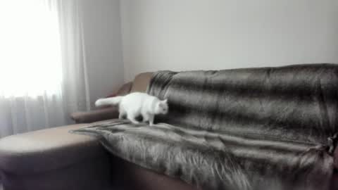 Issabelle online show from February 2025 07:16:01 AM