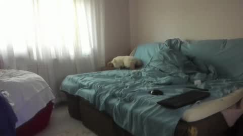 Issabelle online show from October 2025 05:08:01 AM