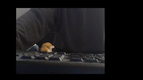 Snapshot of ital25usa chatting on January 2026 10:06:01 AM ital25usa online show from January 2026 10:06:01 AM