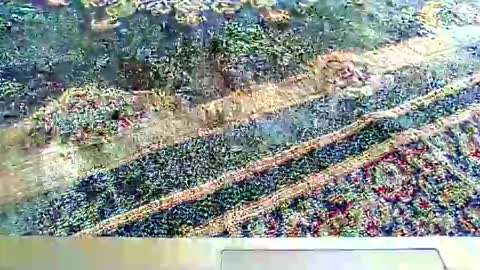 its_me_2323 online show from October 2025 07:28:02 AM