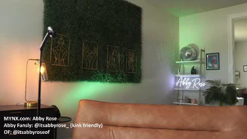 Snapshot of itsabbyrose_ chatting on December 2025 07:22:01 PM Abby Rose online show from December 2025 07:22:01 PM