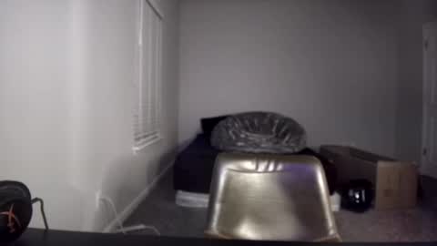 TARZAN online show from December 2024 06:33:02 AM