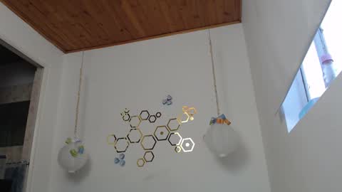 Snapshot of ivana_rose chatting on March 2025 10:59:01 PM Adris online show from March 2025 10:59:01 PM