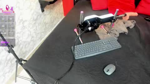 Ivis  online show from December 2025 12:34:02 PM