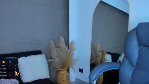 Snapshot of ivy_li chatting on December 2024 03:26:01 AM Daniela online show from December 2024 03:26:01 AM