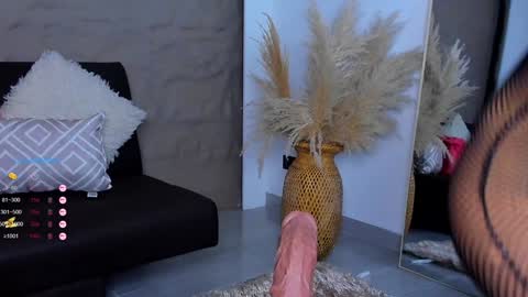 Snapshot of ivy_li chatting on December 2024 06:33:02 AM Daniela online show from December 2024 06:33:02 AM