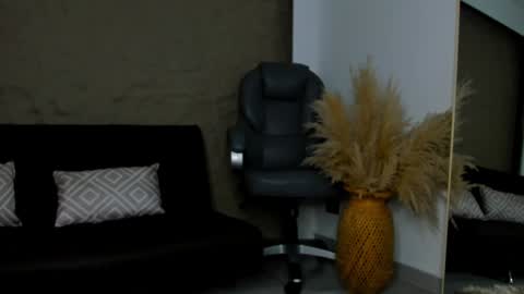 Snapshot of ivy_li chatting on January 2025 11:54:01 AM Daniela online show from January 2025 11:54:01 AM