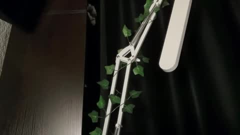 Snapshot of ivyvibe chatting on February 2026 03:37:02 PM ivyvibe online show from February 2026 03:37:02 PM