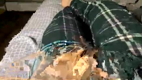 Snapshot of jaaltar chatting on December 2025 02:41:02 AM Jaaltar online show from December 2025 02:41:02 AM