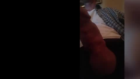 jaaydantaay online show from February 2025 12:28:01 PM