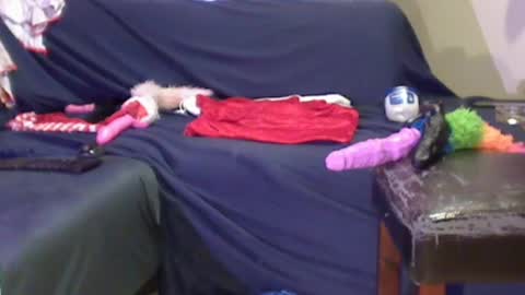 Snapshot of jacekwrrr chatting on December 2024 02:06:02 AM JACKSLUT BUY ME . FAN CLUB MEMBERS AND THOSE WHOM THE MEMBERS INDICATE SISY SLUT PROVIDES THEM FREE SERVICES online show from December 2024 02:06:02 AM