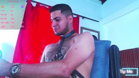   online show from December 2024 03:13:02 PM