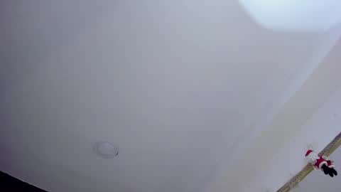 Jack  online show from December 2024 08:28:01 AM