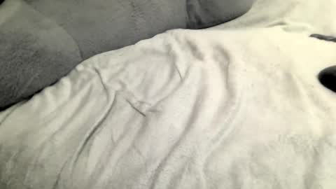 Snapshot of jackslim chatting on February 2025 05:45:01 AM jack online show from February 2025 05:45:01 AM