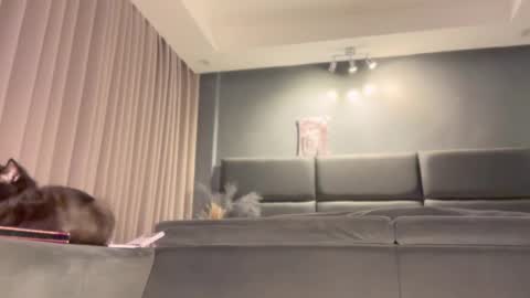 jacolandia online show from February 2025 06:56:02 PM