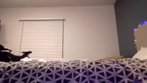 jaidenblake online show from December 2024 09:45:02 AM