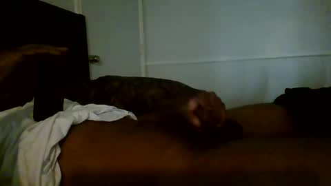 Jamacian online show from January 2025 08:35:01 PM