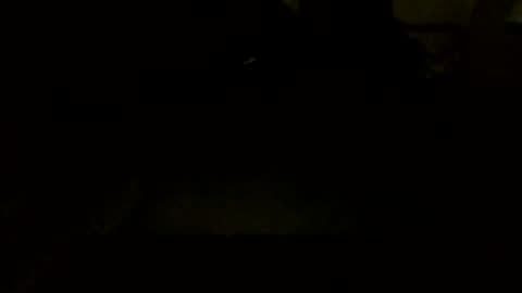 Jamacian online show from October 2025 09:45:01 PM