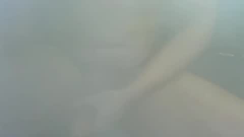 James2377  online show from December 2025 02:25:01 PM