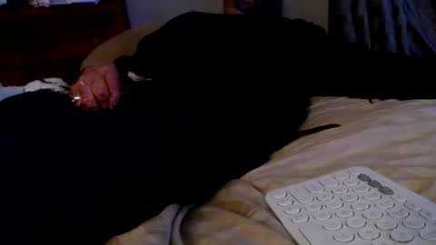 Snapshot of james30cup chatting on December 2025 08:19:02 AM what you in too online show from December 2025 08:19:02 AM