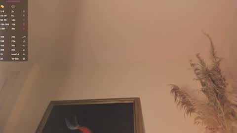 Juan online show from October 2025 04:54:01 AM