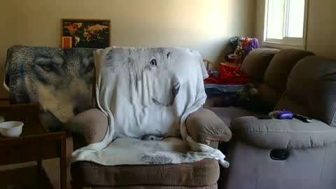 jameswolf777 online show from September 2025 05:34:01 PM