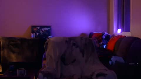 Snapshot of jameswolf777 chatting on December 2025 11:17:01 AM jameswolf777 online show from December 2025 11:17:01 AM