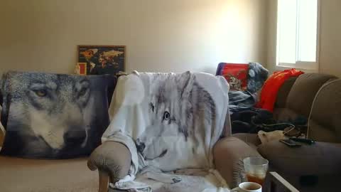 Snapshot of jameswolf777 chatting on December 2025 08:06:01 PM jameswolf777 online show from December 2025 08:06:01 PM