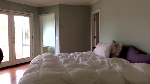 Snapshot of janicepepper chatting on January 2025 09:52:01 PM janicepepper online show from January 2025 09:52:01 PM