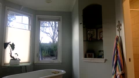 Snapshot of janicepepper chatting on March 2025 12:53:01 AM janicepepper online show from March 2025 12:53:01 AM