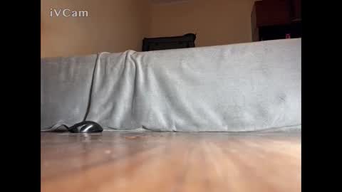 jarrettsss online show from November 2025 07:56:02 PM